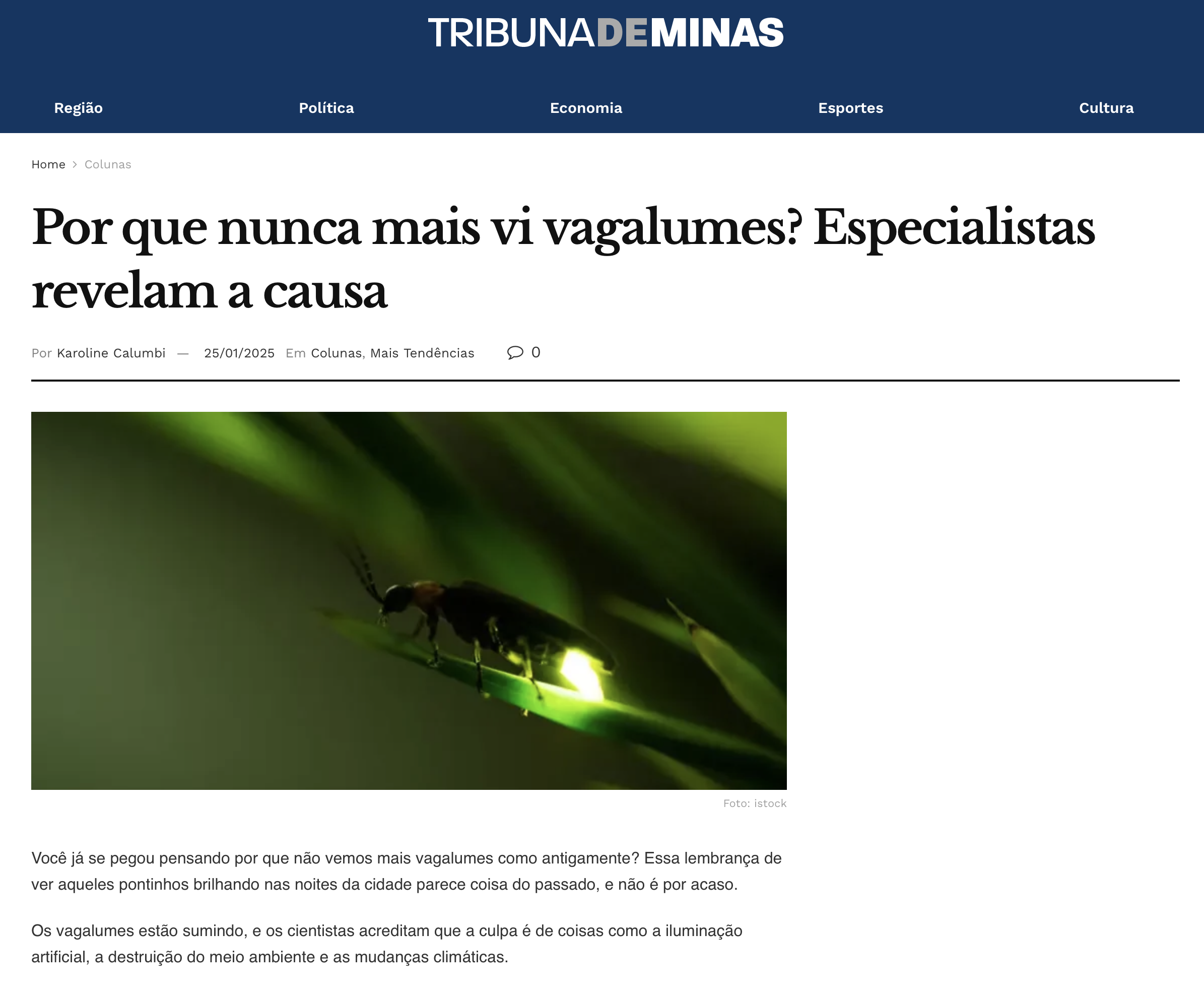 Contribuição sobre a importância dos vagalumes